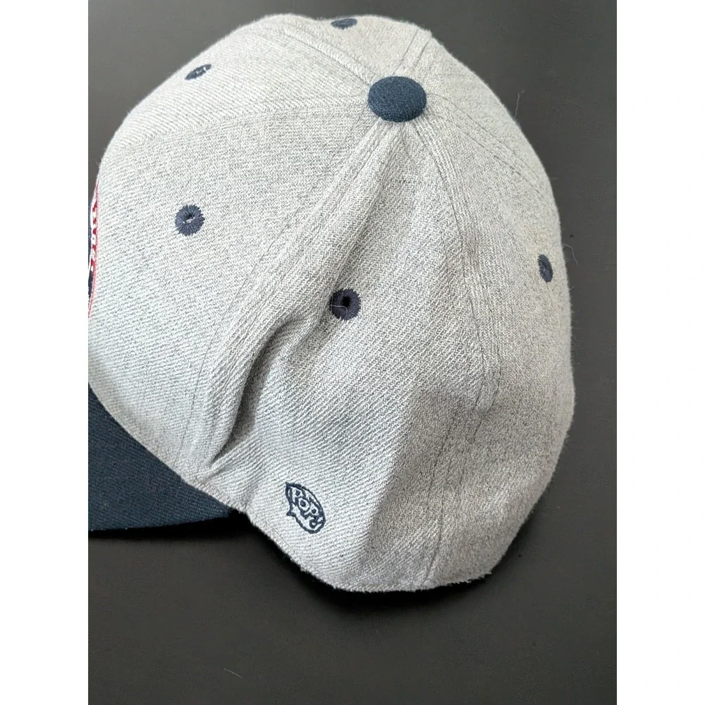 Marvel The Amazing Spider-Man Funko‎ Snapback Hat Gray OSFM